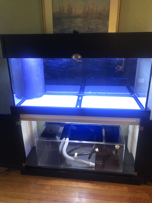 E2EED4B2-2788-419E-A89B-3391CDA1EDA4