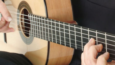 Flamenco Guitar