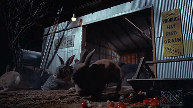 NIGHT-OF-LEPUS-RABBITS-1-A-FOTOR.png