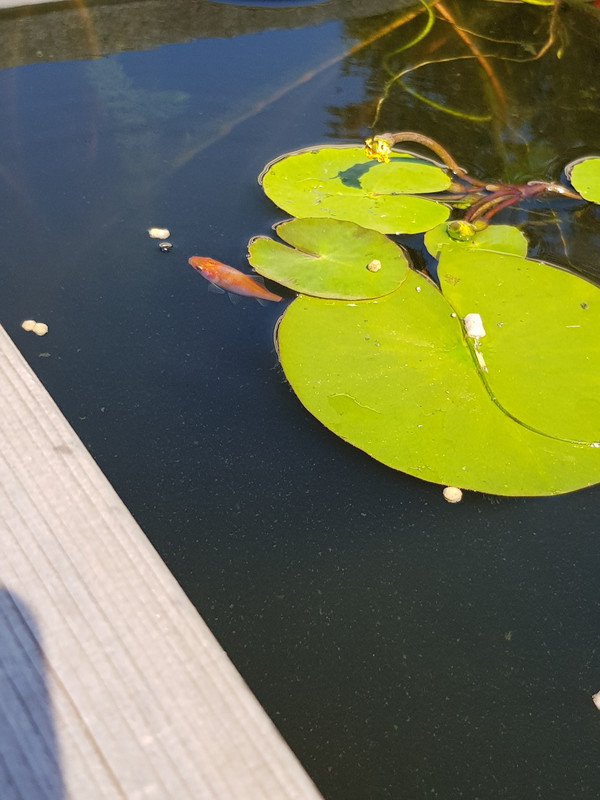 20190824_131933