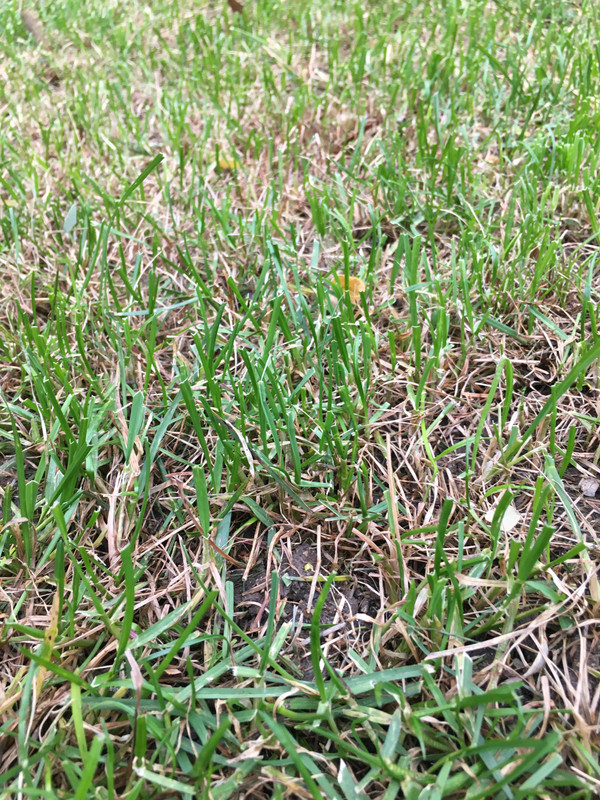 EF9DDF77-4B61-425C-9E42-6347C0DCE933