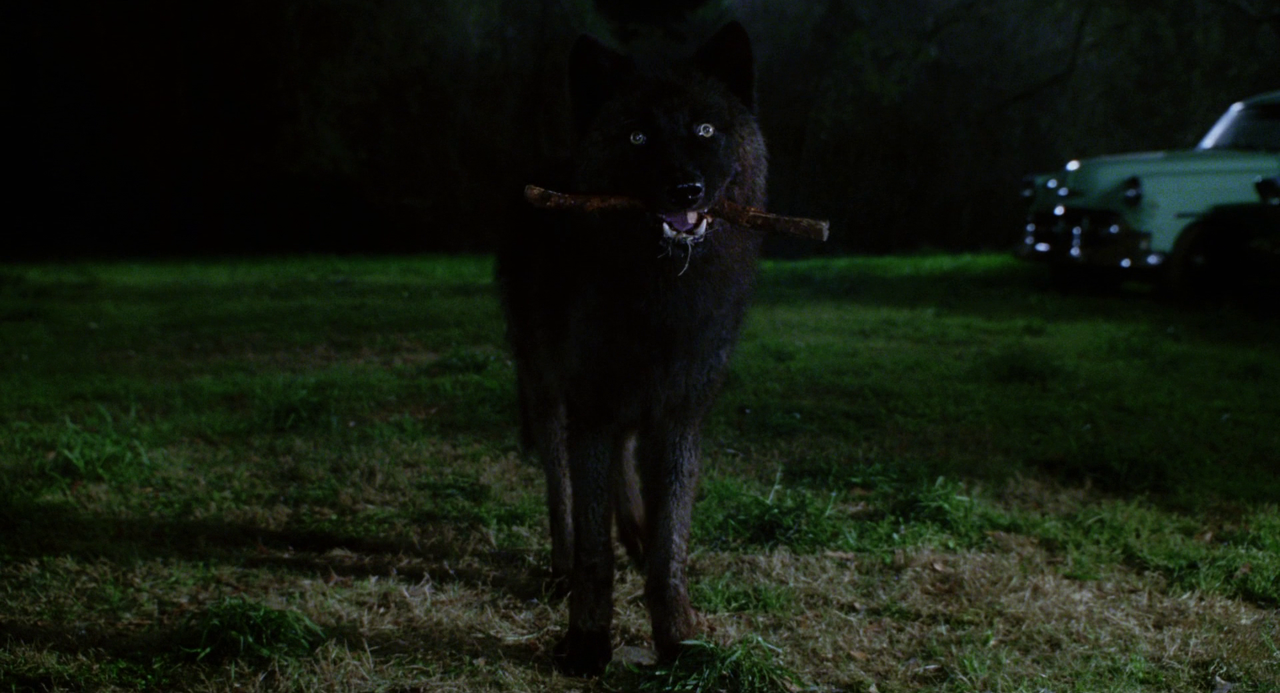 vlcsnap-2023-01-18-18h58m40s767