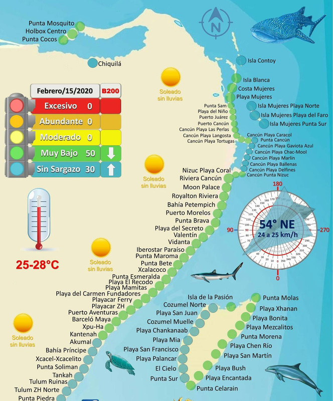 Algas en las playas de Riviera Maya (Sargazo) - Forum Riviera Maya, Cancun and Mexican Caribbean