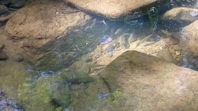 P_20180813_124211[1]