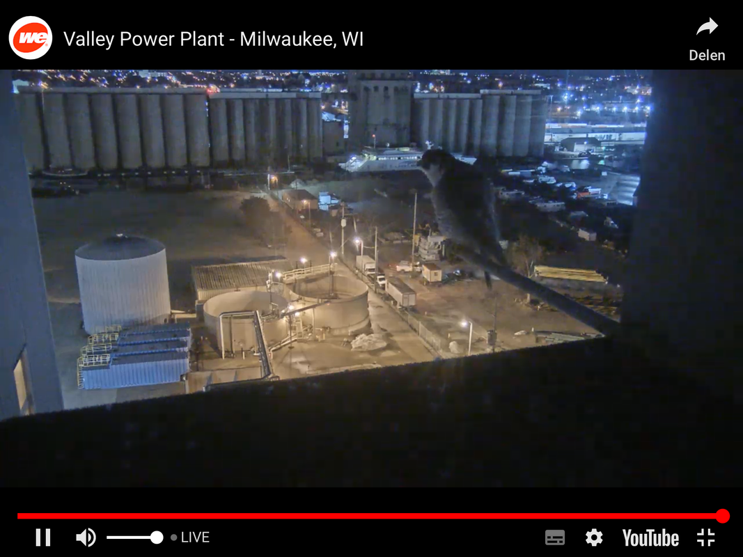 420D78CB-782A-463C-AB82-FE6A63EBD37A