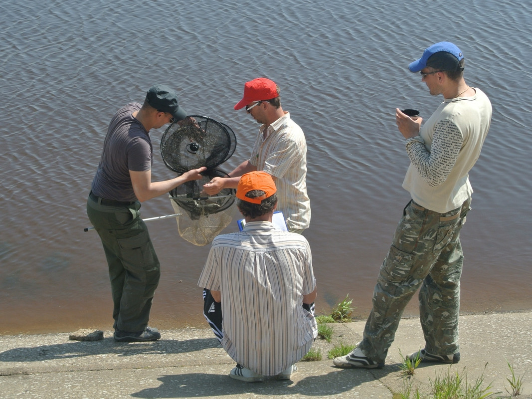 Камский фидер 2015-1 053