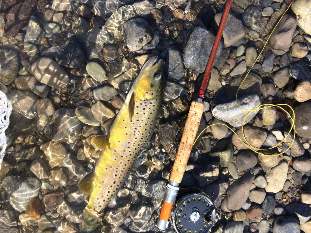 FDDDA4A6-E92B-4EC2-9008-E74B6C83F61A