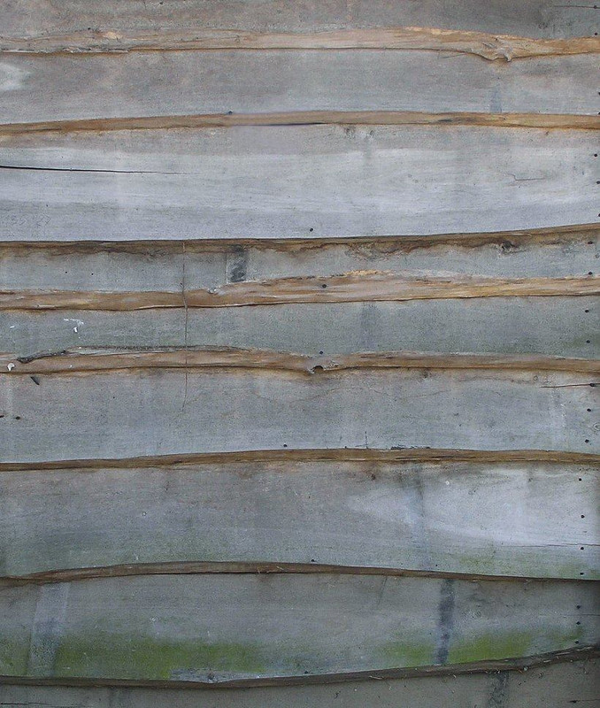 wood-texture-3dsmax (31)
