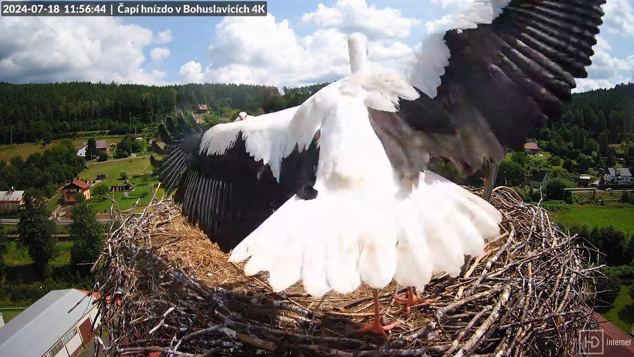 Tiešraidē no uzņēmuma KARA stārķa skursteņa Bohuslavicē pie Trutnovas 11-52-33 screenshot