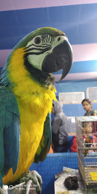 IMG-20190201-175934.jpg