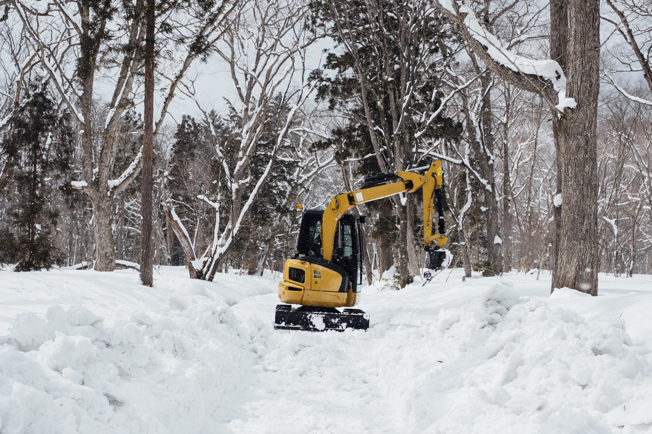 Winter Tree Removal