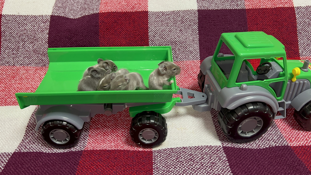 9319369E-1C58-40E4-B498-634E6145D77E