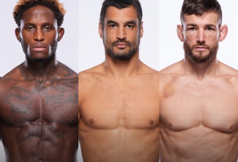 UFC се разделиха с 3-ма състезатели