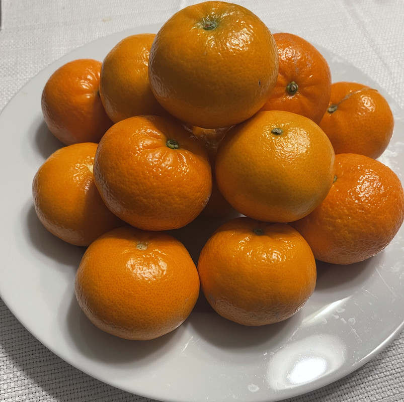 F26C6AE8-F50F-4669-8412-71AC4FDF1800