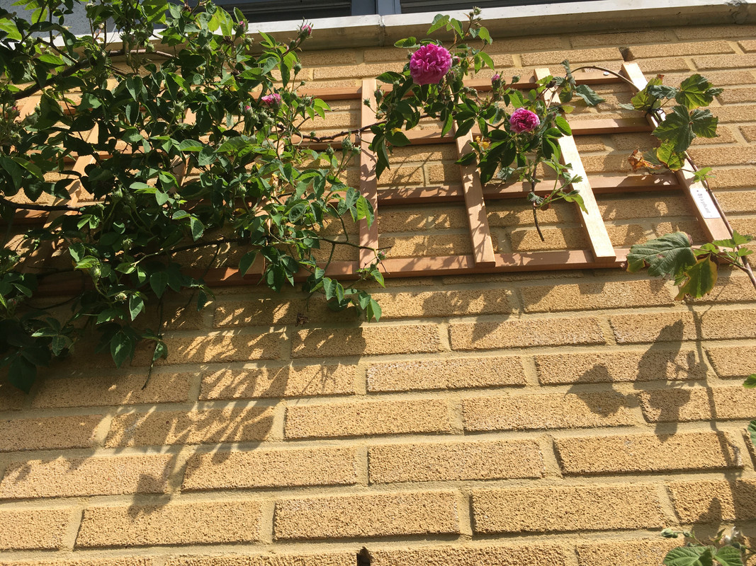 ABFFECE5-1206-4C0F-AA16-3DDF9E4E3ED1