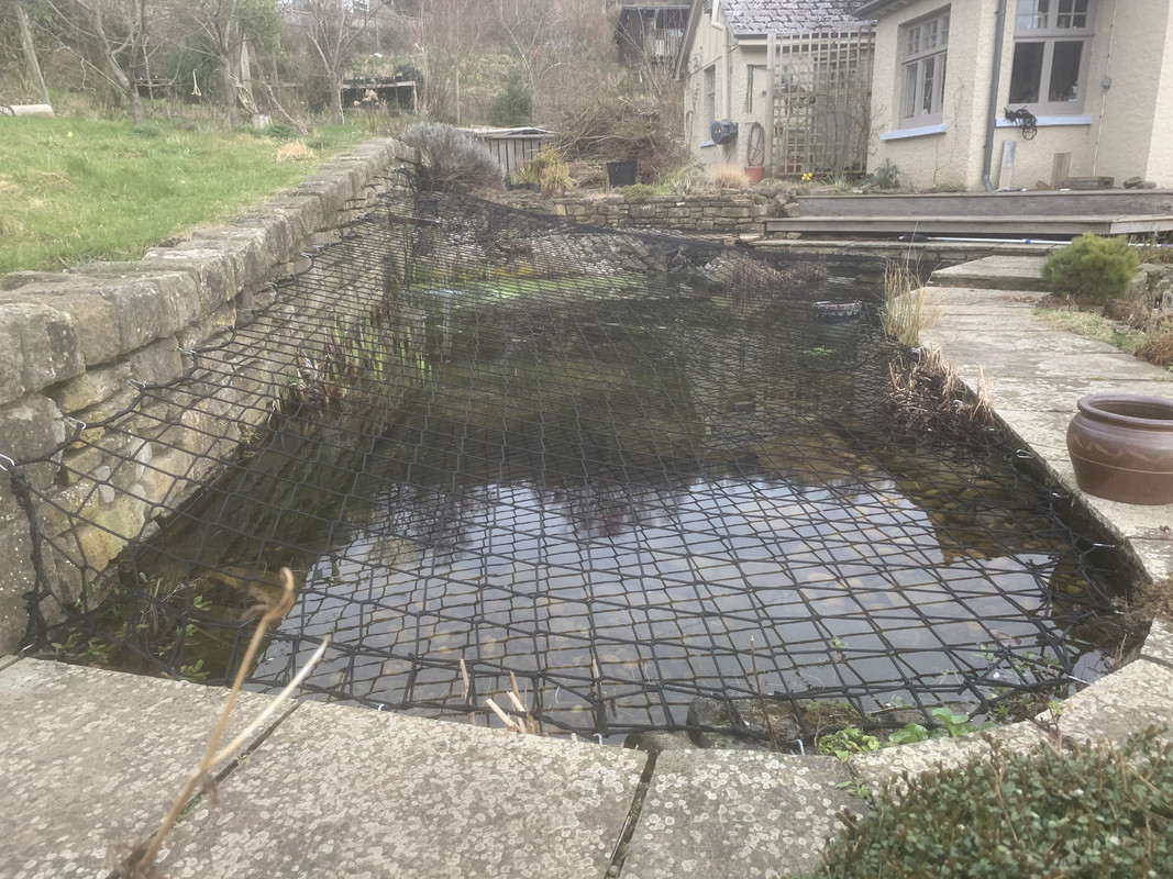 Pond netting for child safety any experiences and tips? Pond Design and Construction Forum