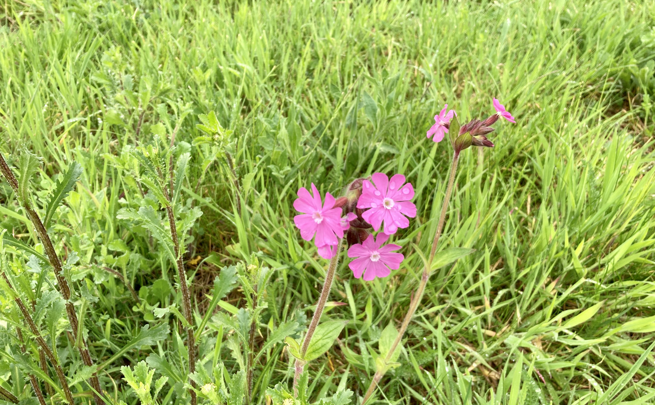 5C101E6F-FE6D-4914-AE4F-2163D38E00DA