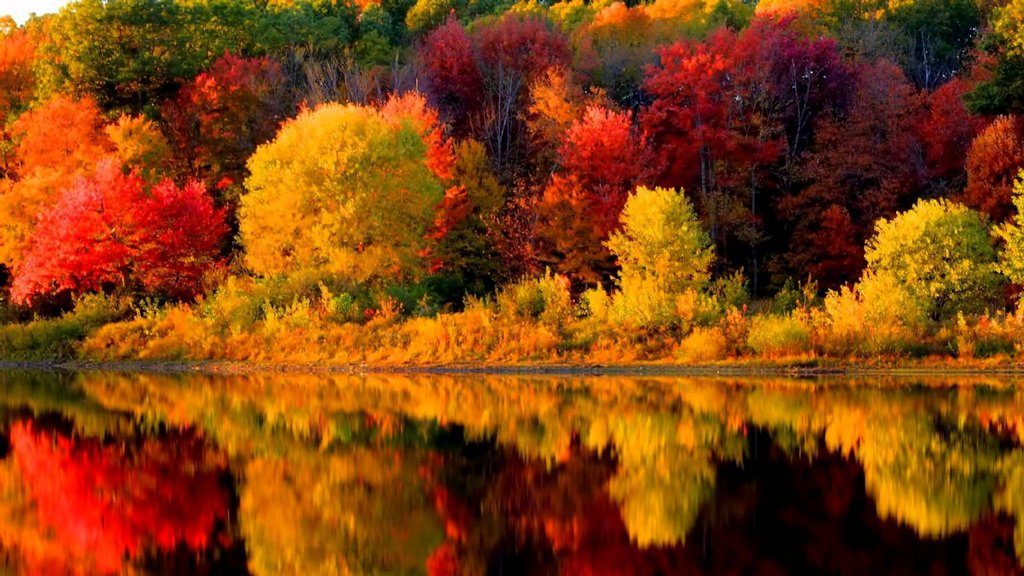 [Image: new-england.jpg]