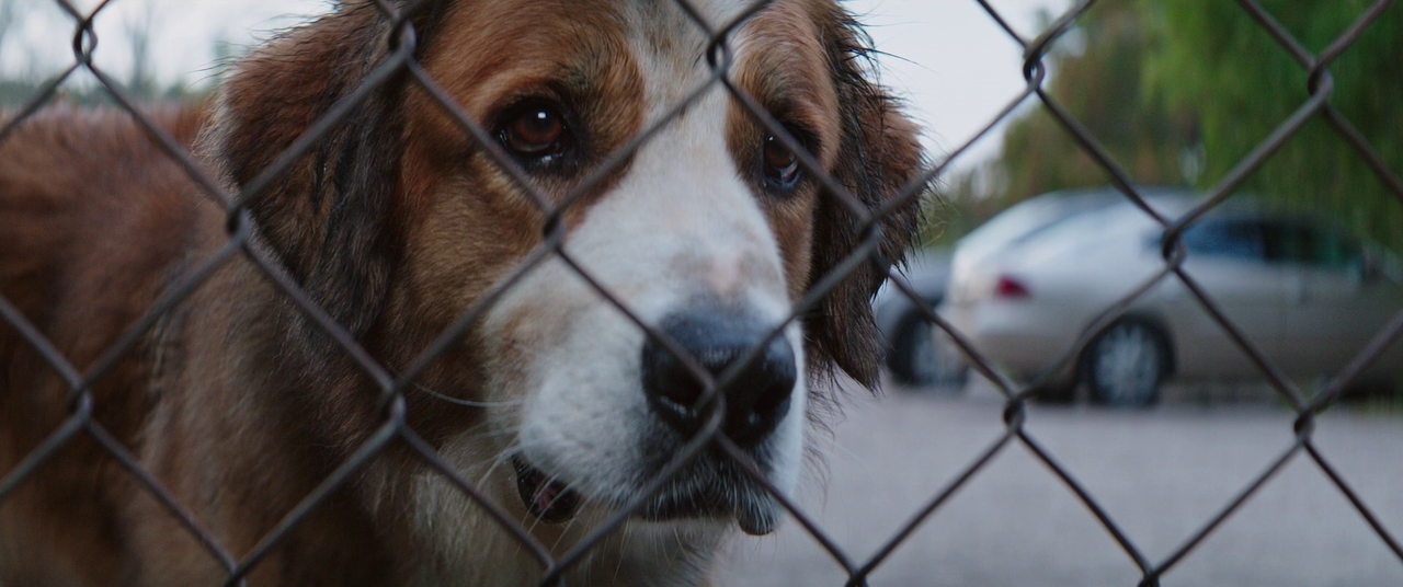 vlcsnap-2023-06-14-19h44m36s930