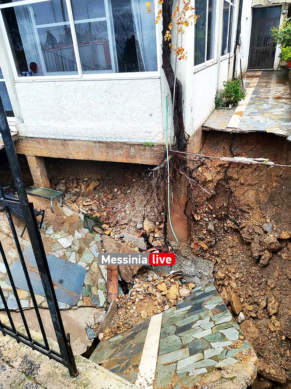 ΚΙΤΡΙΕΣ εικόνα_Viber_2025-01-13_10-56-07-131