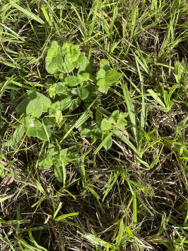 AC033799-4F9D-4EF4-9278-13EA61318F42