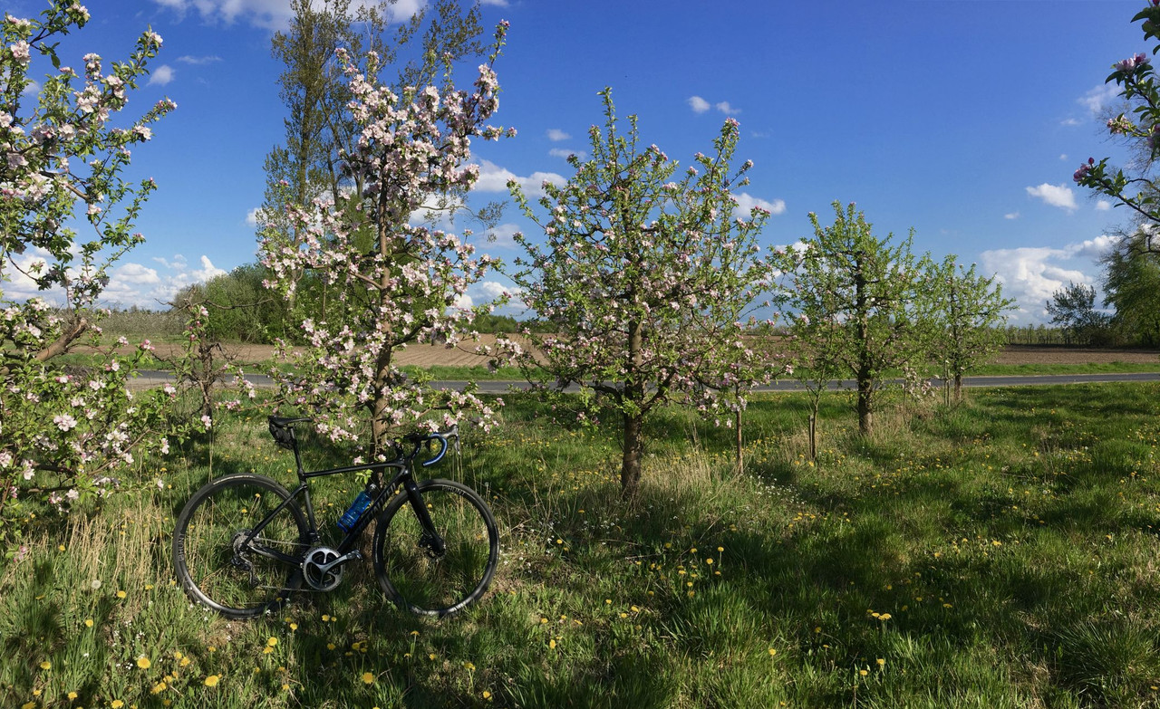 20117104461b7241ebea89e6bd97aea5-kopia.j