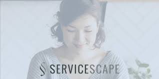 ServiceScape logo