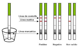 Utilizzo degli stick d'ovulazione canadesi [guida]