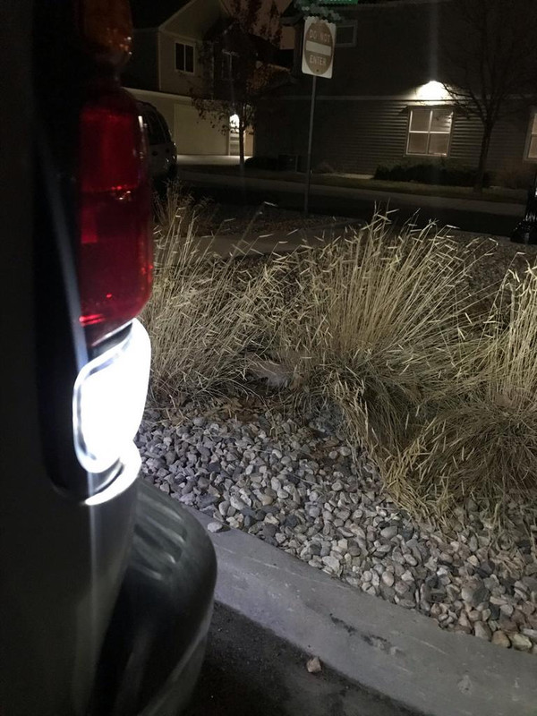 9276A0E8-6131-4AFB-B7C8-64E36010CAB1