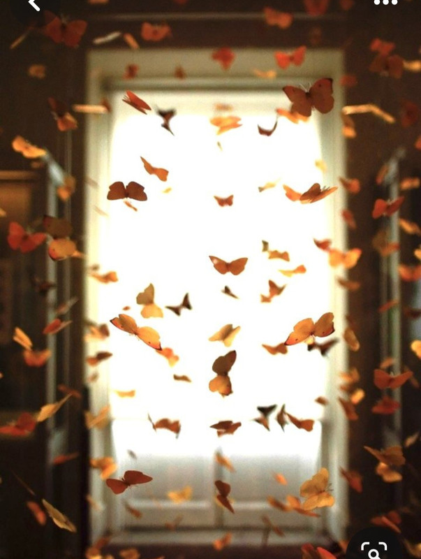 Screenshot_20231112_235317_Pinterest