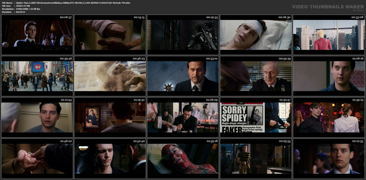 Spider-Man-3-2007-Vi-E-Remastered-Blu-Ray-1080p-DTS-HD-MA-5-1-AVC-REMUX-Fra-Me-STo-R-Vietsub-TM-mkv.jpg