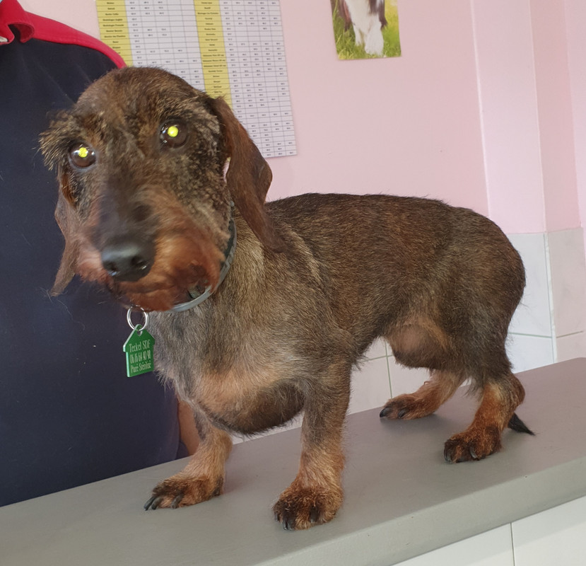 [Image: 20211006-170426.jpg]