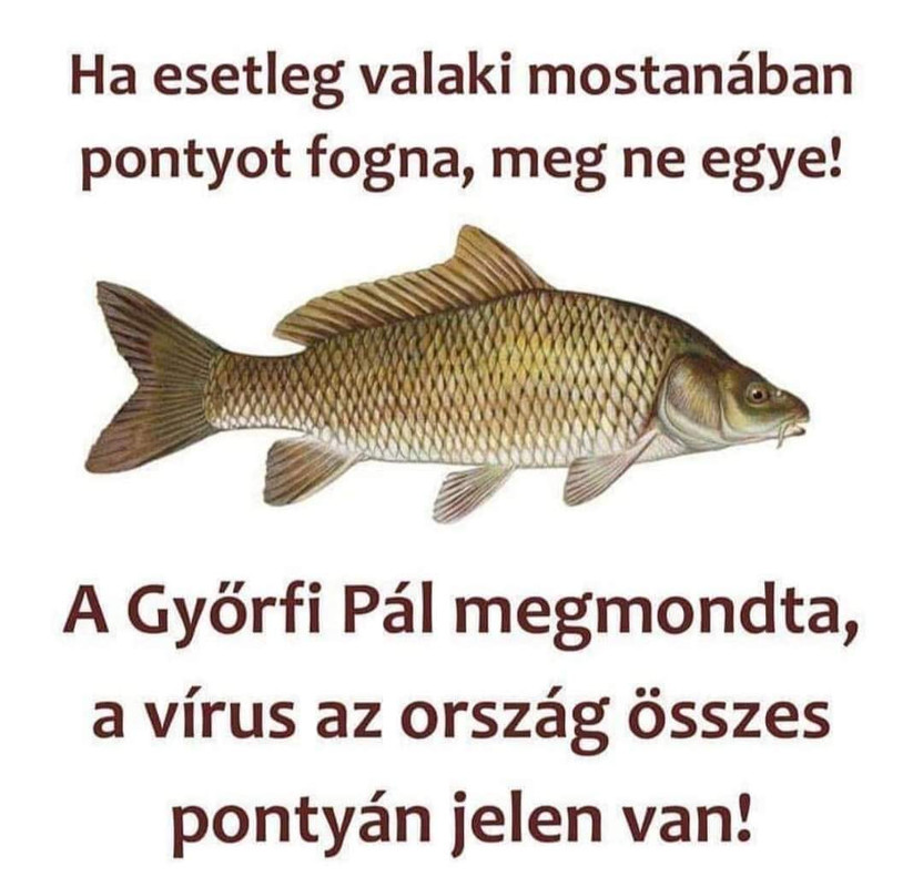 589246822744-263959139070.jpg