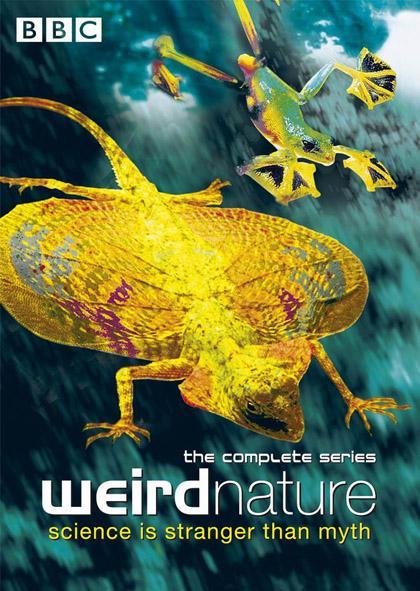 weird nature tv series 505758859 large - Animales Sobrenaturales (6/6)