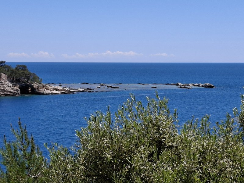 Slika