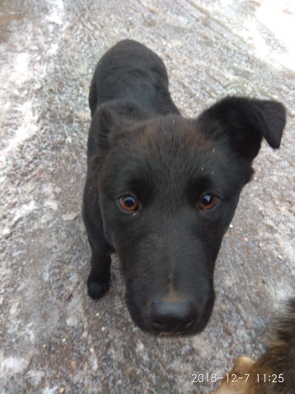 B55CF7D2-6040-47D9-9D53-DEB0297EEF91