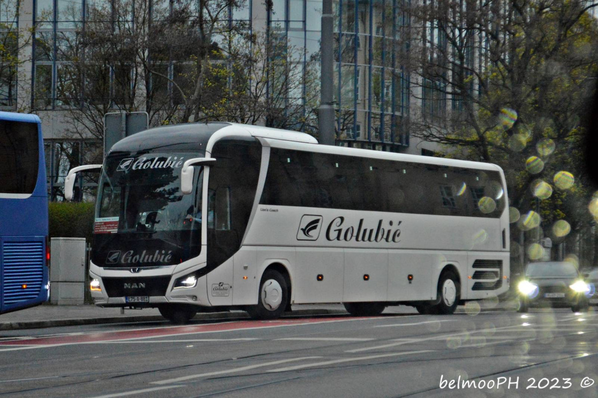 90132D41-D34B-42F7-A705-831BCE6AF0AE