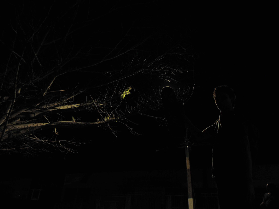 44.2.bloqueia ali carlão II