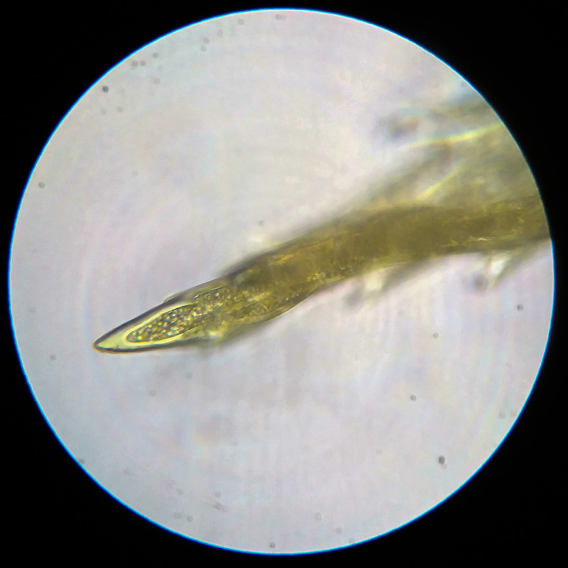 IMG 20250614 111710 HDR