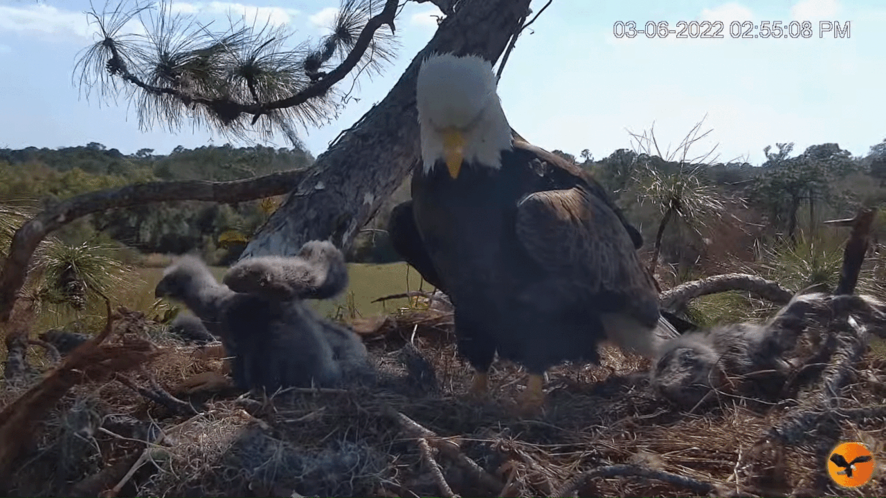 Webp.net-gifmaker (2)