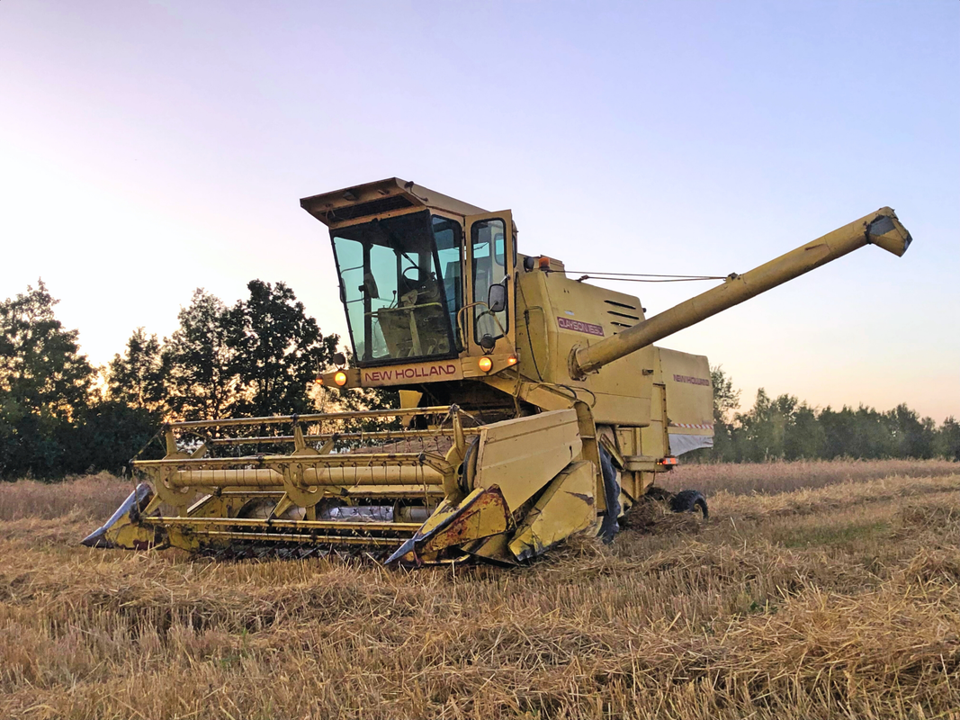 Projekt bez nazwy (6)