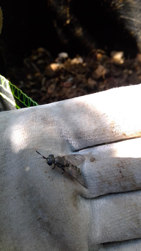 IMG_20220807_112651 (1)