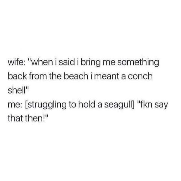 brought-back-seagull-from-beach-for-ungrateful-wife.jpg