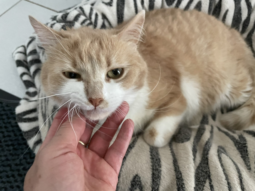 изображение_viber_2024-07-07_17-37-40-287