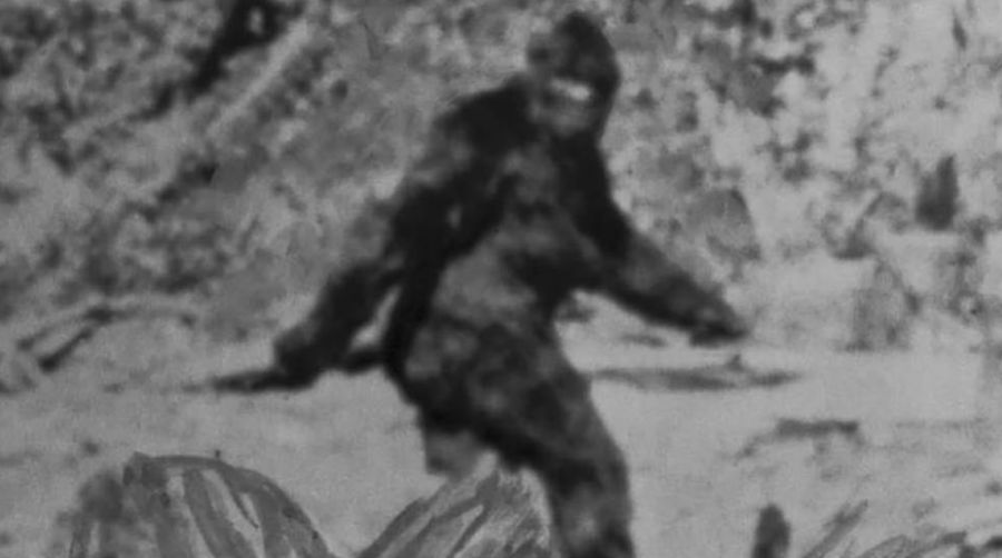 Bigfoot esiste