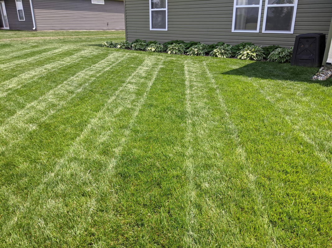 PXL_20210523_194854845