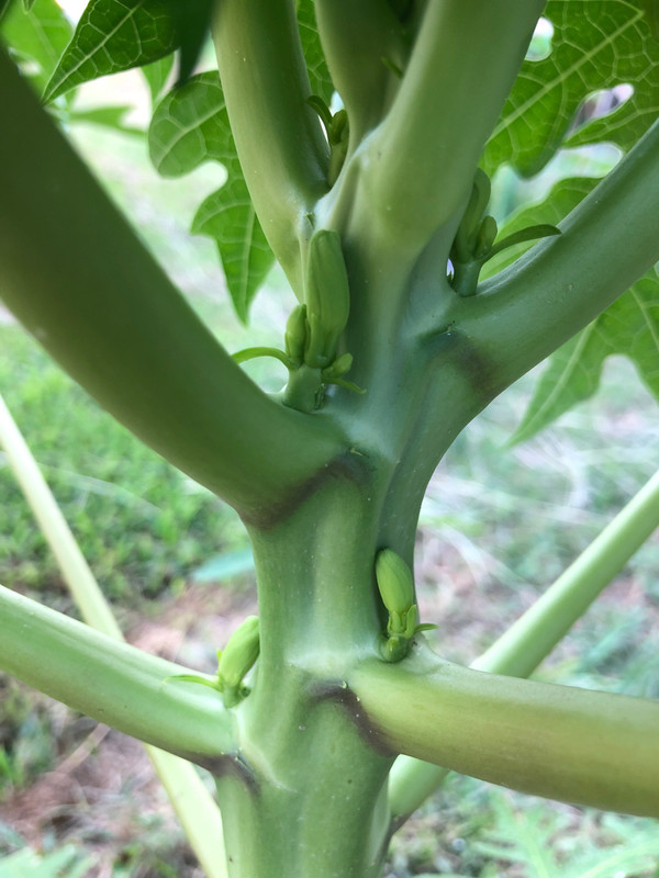 362AB092-DC92-4B71-A531-9439FA867A9A