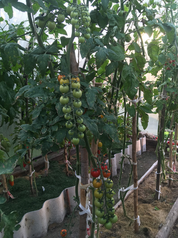 020C5E78-8898-4A9A-BCA3-E4E7C97ACB23