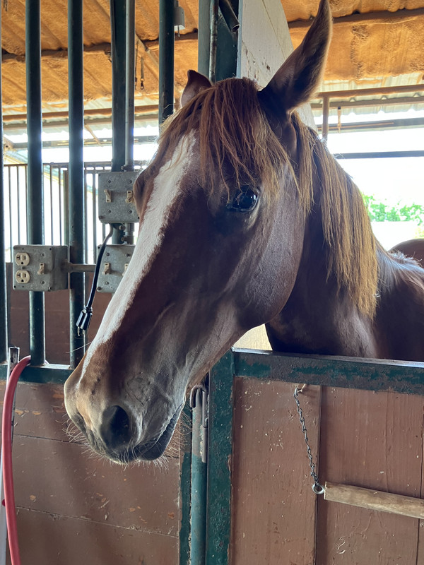 20CC16AF-60B5-4FF4-97C9-53CABB0C569A