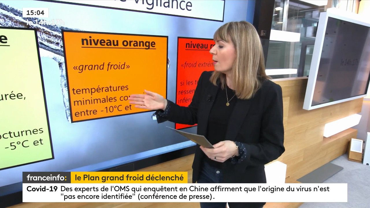 02.09 - 12.59.00 - Le 14H-17H. Au Sommaire   Vrai Ou Fake. - Francein...-1.m4v_snapshot_55.31.577